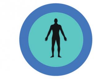 Anatomical Programming