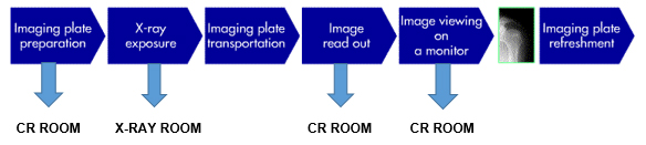 DR CR Xray Image